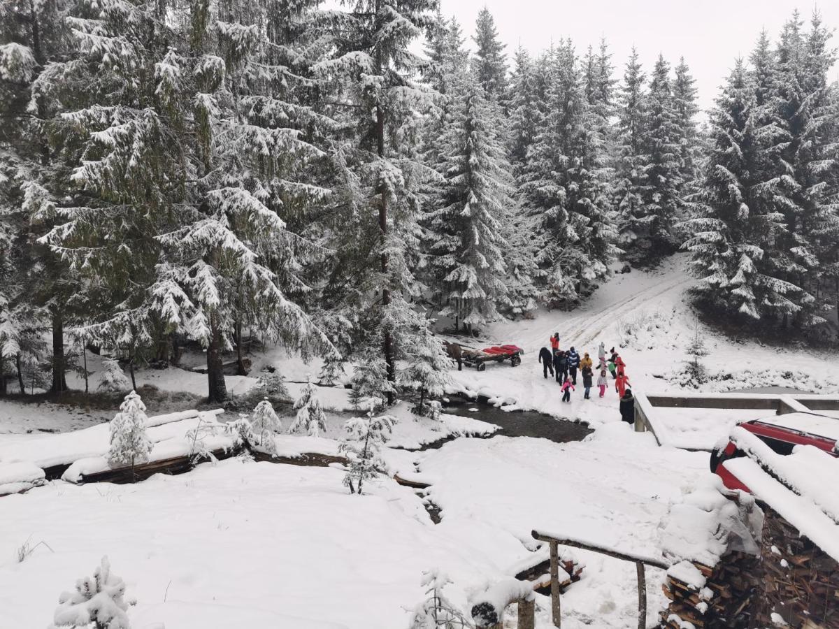 فندق Alpina Panoramic مويزي المظهر الخارجي الصورة