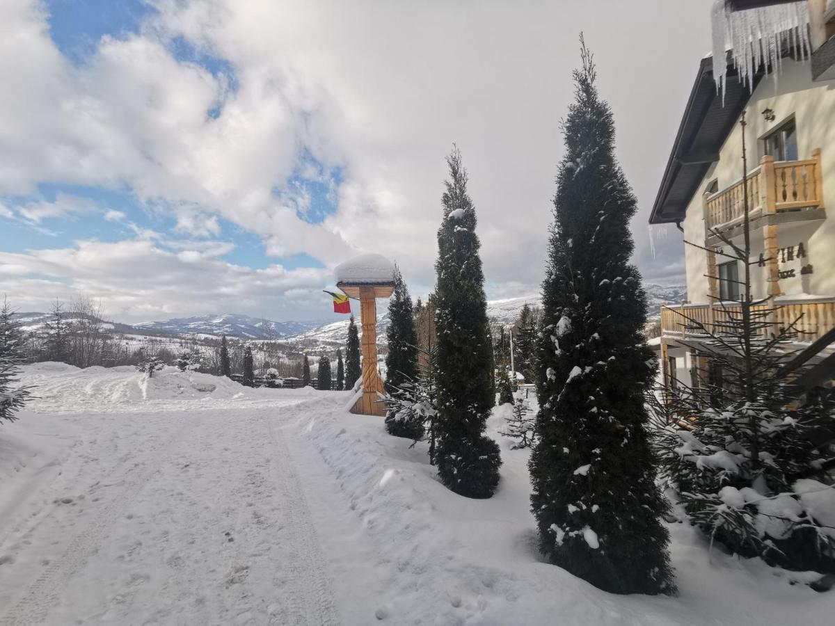 فندق Alpina Panoramic مويزي المظهر الخارجي الصورة